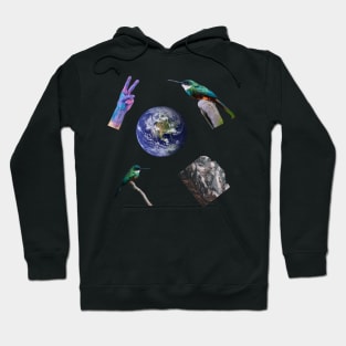 Save the planet Sticker Pack! Hoodie